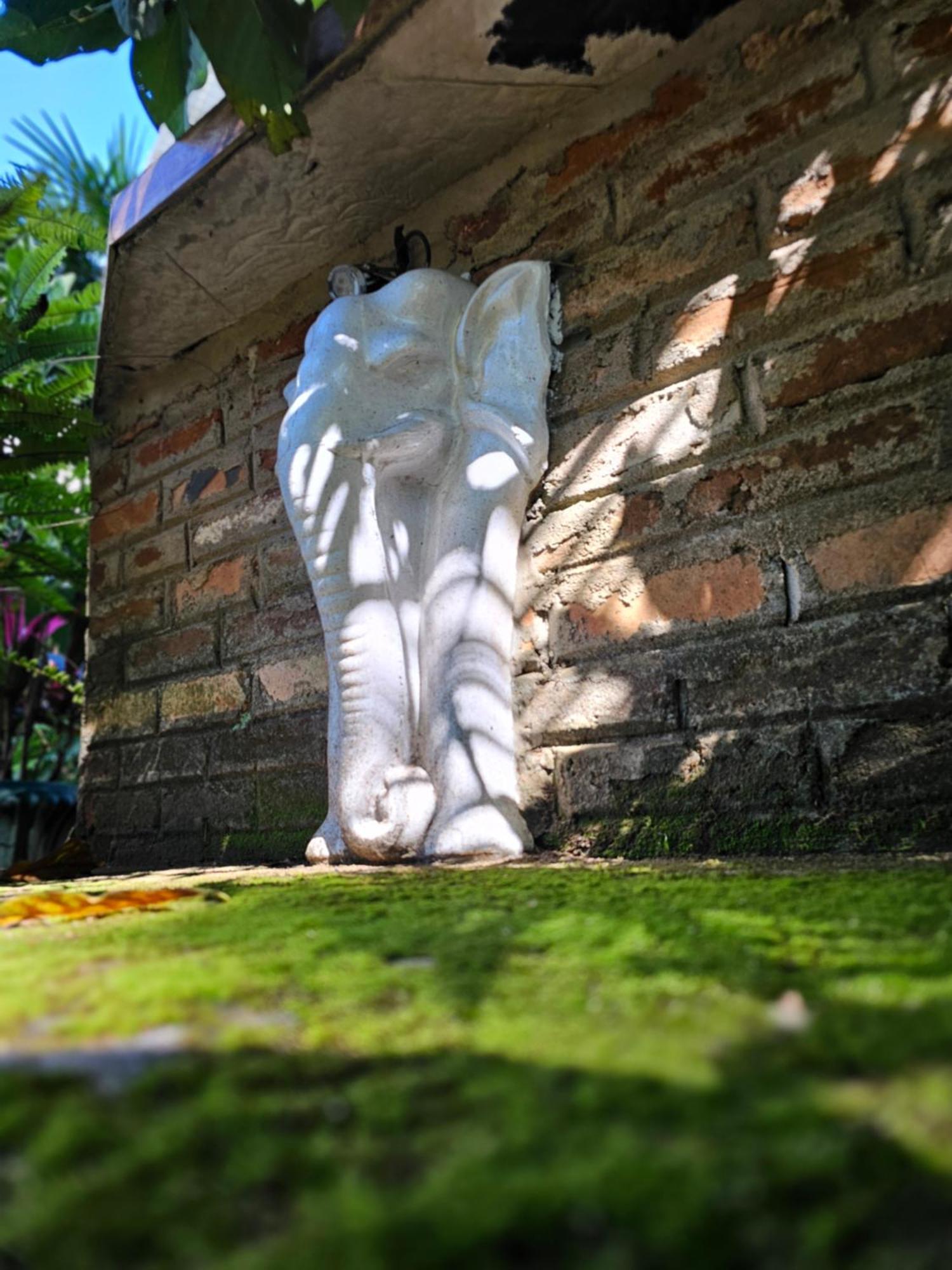 Galkanda Walawwa Kandy Exteriör bild